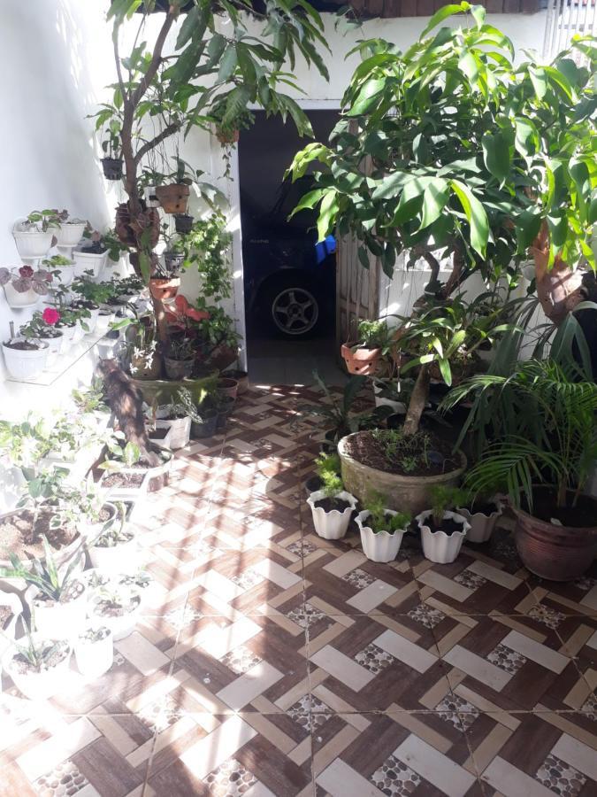 Bumimi Homestay Painan Exterior photo